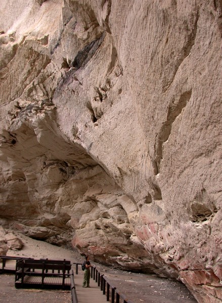 Cathedral Cave